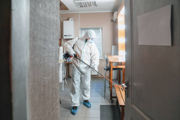 Trusted Silver Lake, NJ Mold Inspection, Removal & Remediation Experts